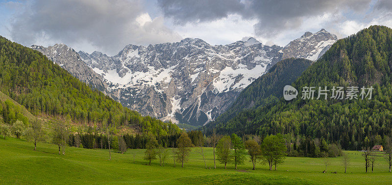 斯洛文尼亚Zgornje Jezersko的阿里阿尔卑斯山谷春景